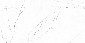 VS 01